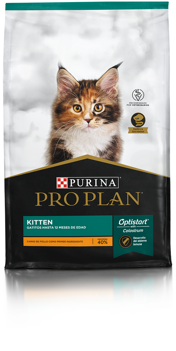 Pro Plan Gatitos kitten 3 kilos
